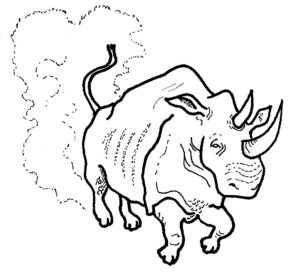 næsehorn