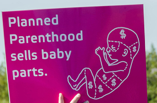 USA: Senatskomité politianmelder Planned Parenthood for salg af fosterdele